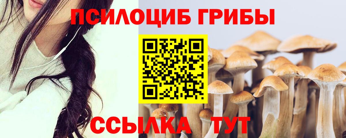 Псилоцибиновые грибы Cubensis  Галлюциногенные грибы GOLDEN TEACHER  Вход с VPN  Абинск 